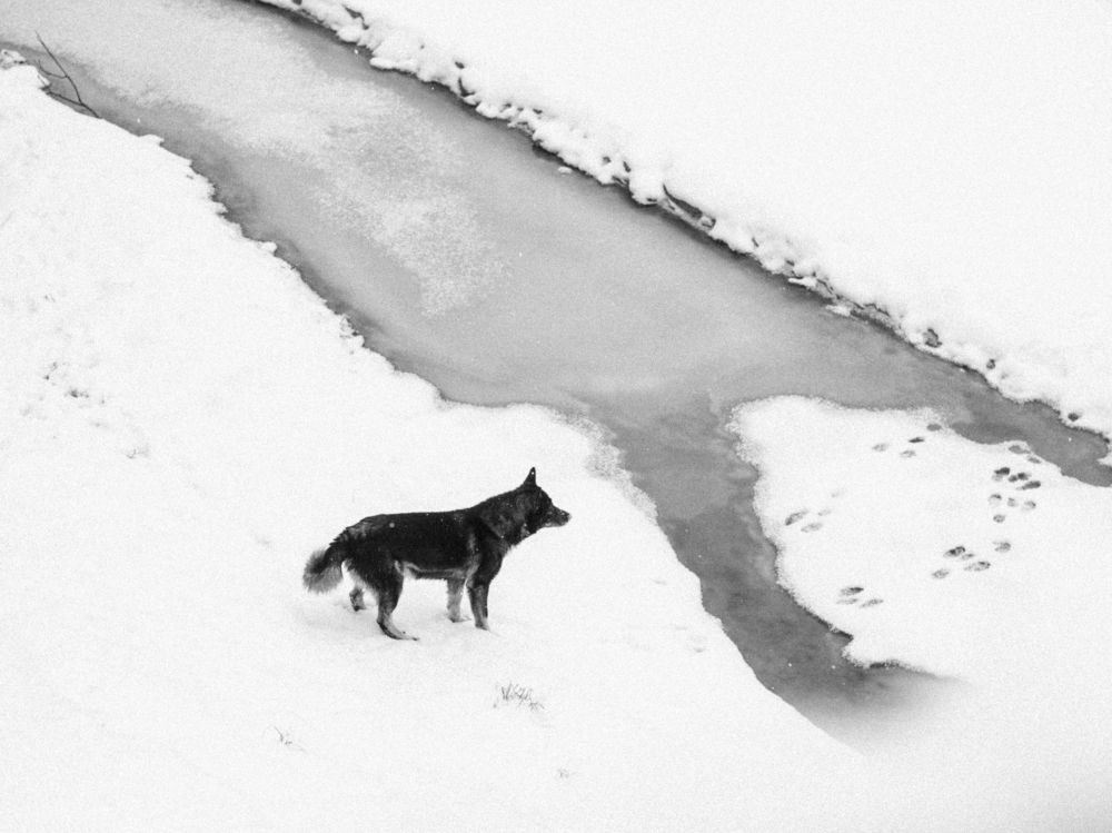 Photograph by Ольга Владимировна