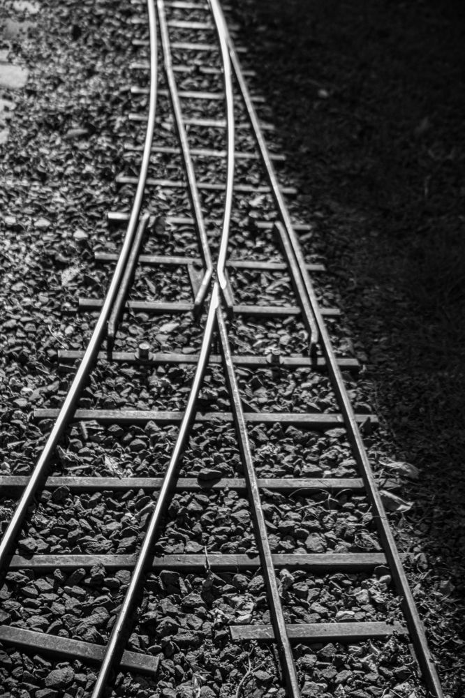 Photograph by Наталья Туркина