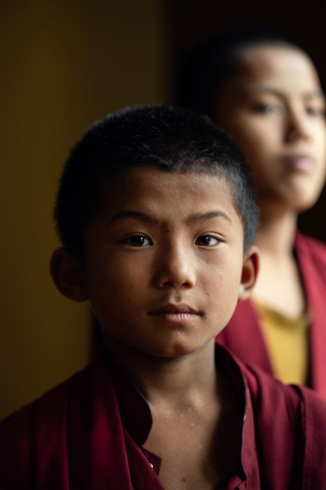 Фотография автора kimia shad