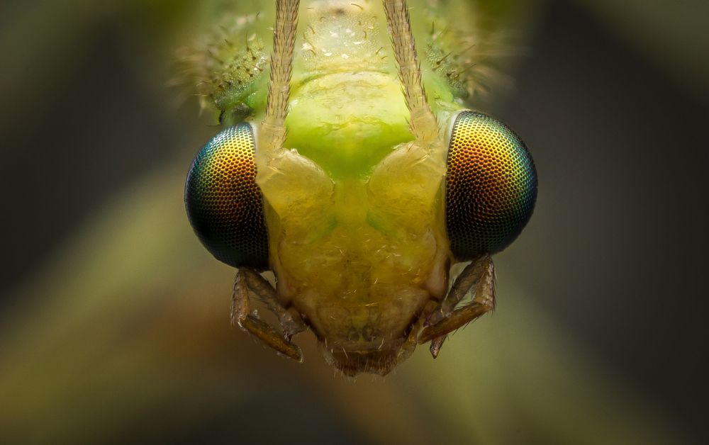 Photograph by Вячеслав Мельников