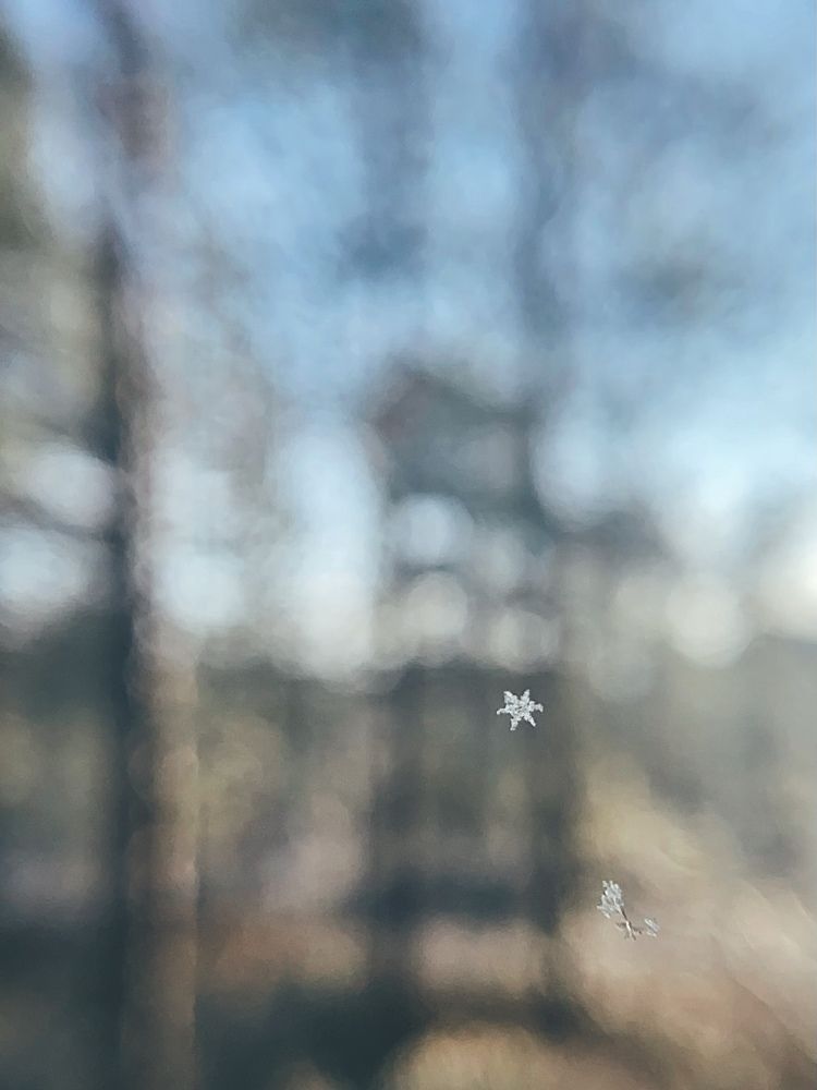 Photograph by Виктория Ярина