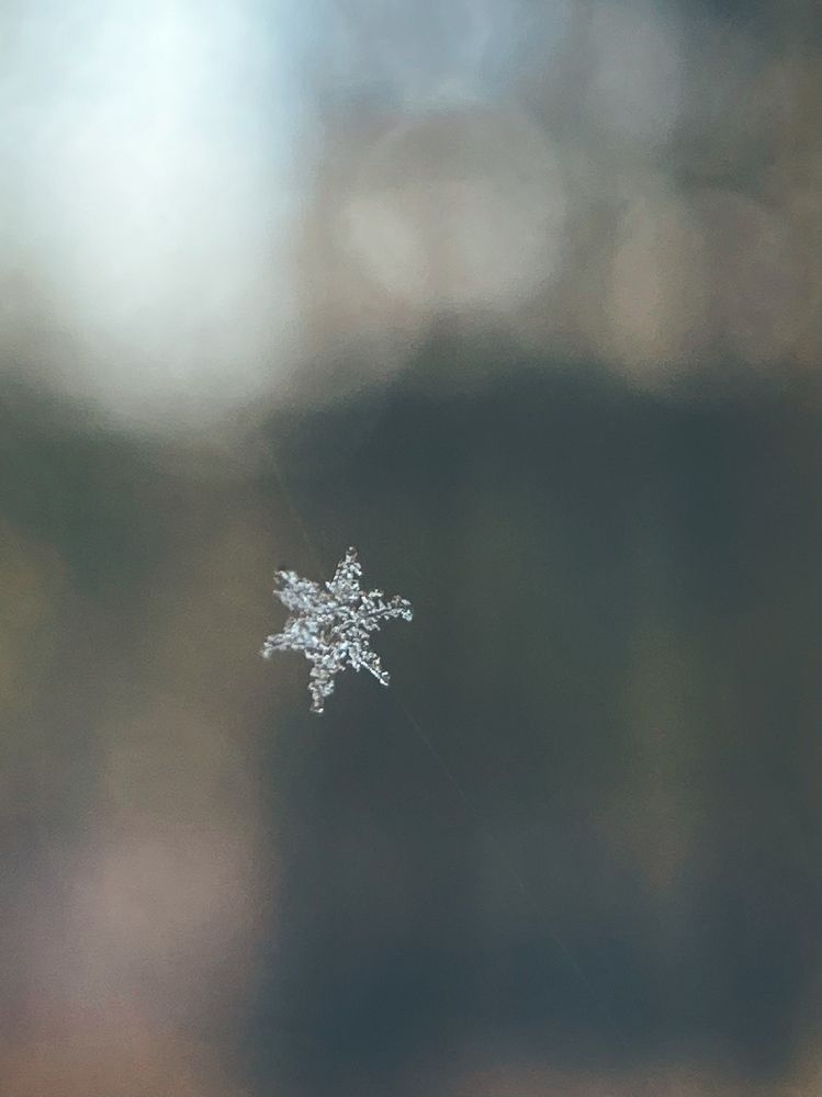 Photograph by Виктория Ярина