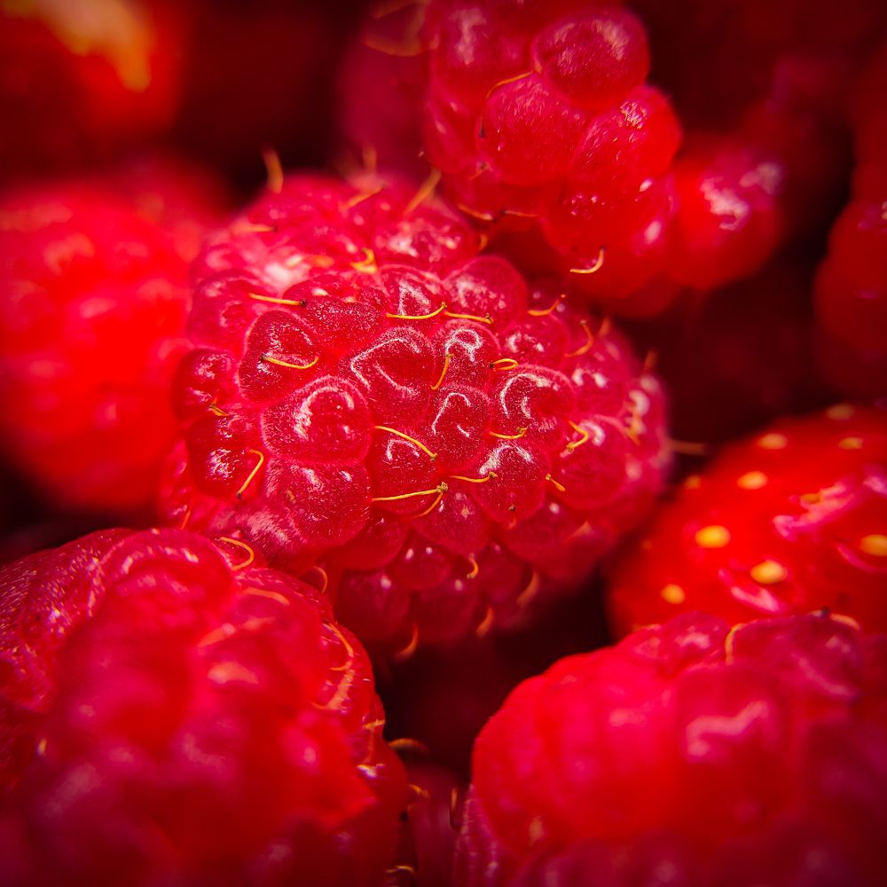 Фотография автора Александр Хухлов