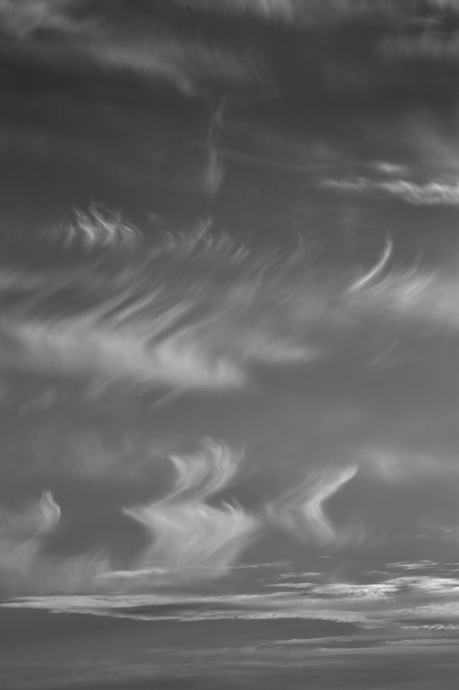 Photograph by Anna D.