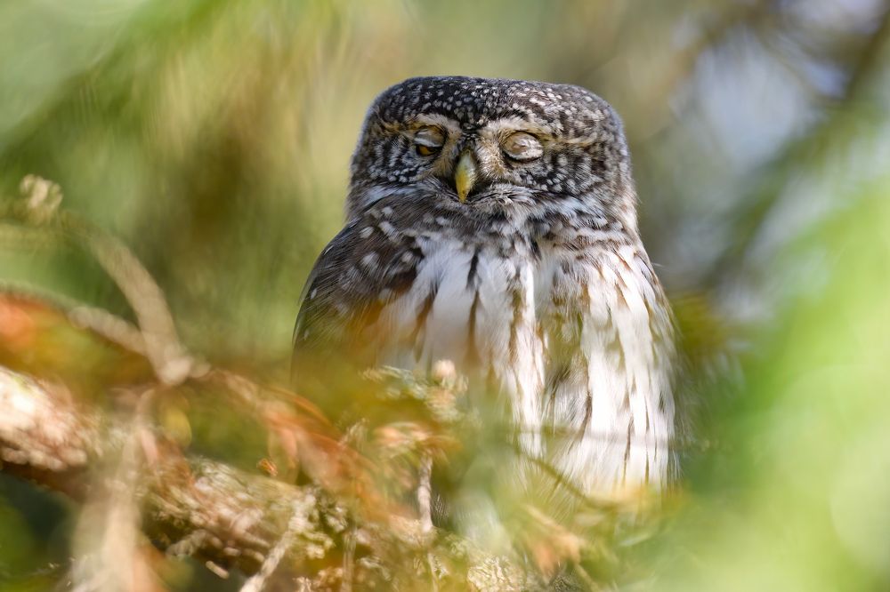 Photograph by Татьяна Шаньшина