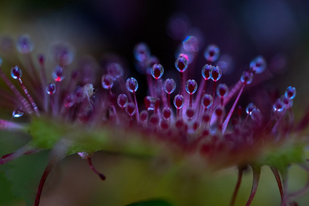 Photograph by Наталия Шинкевич