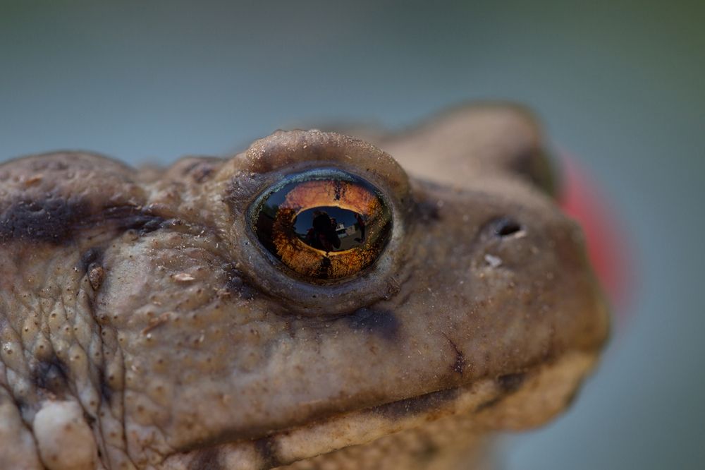 Photograph by Наталья Снеговая