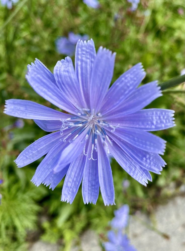 Photograph by Александр Захаров