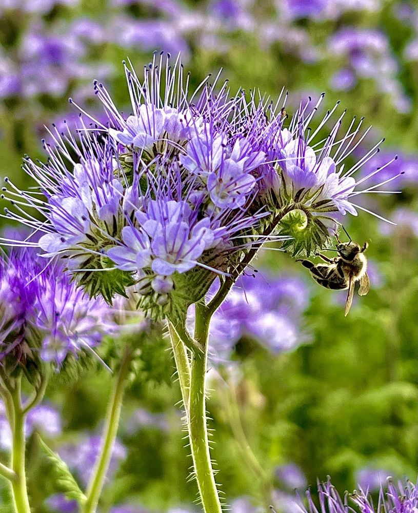 Photograph by Александр Захаров