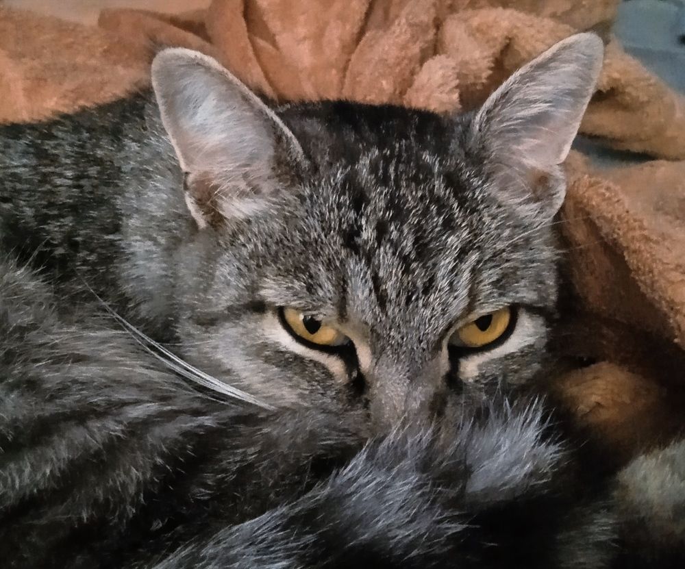 Photograph by Наталья