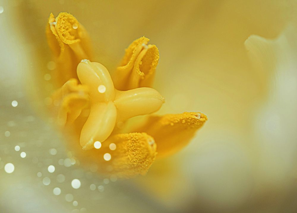 Photograph by Людмила ЧЕРНИКОВА