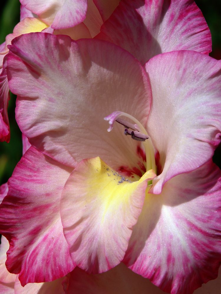 Photograph by Игорь Шевердин