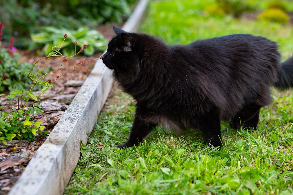 Photograph by Надежда Кузнецова
