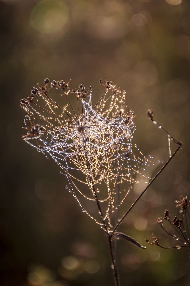 Photograph by Артём Амельянчик