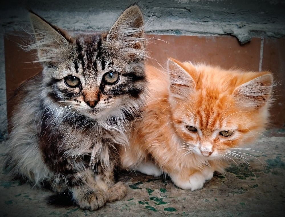 Photograph by Наталья