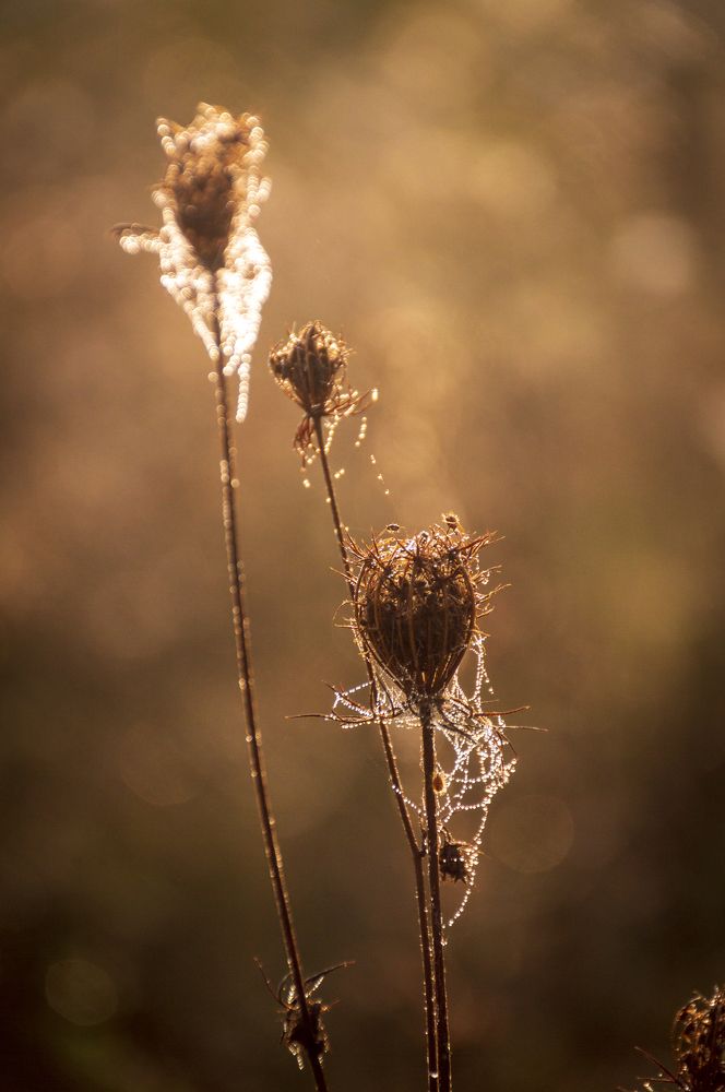 Photograph by Артём Амельянчик