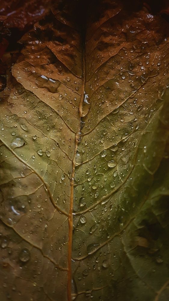 Photograph by Инга Сабанова