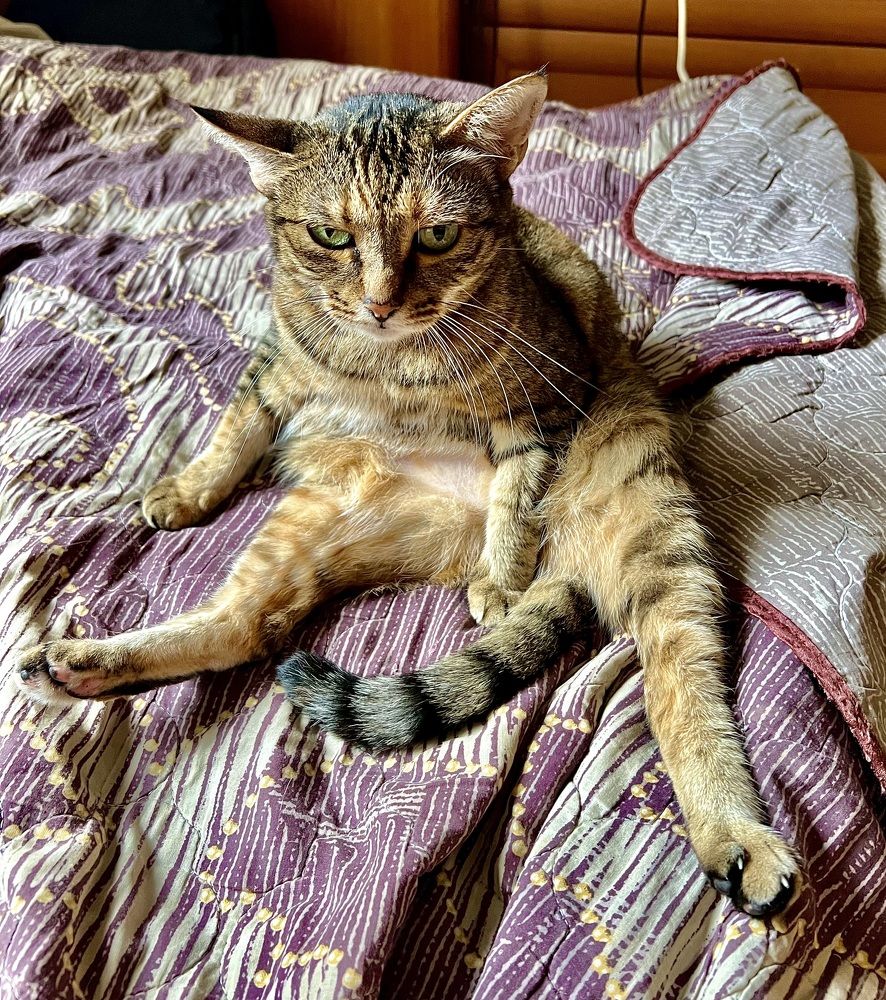 Photograph by Александр Захаров