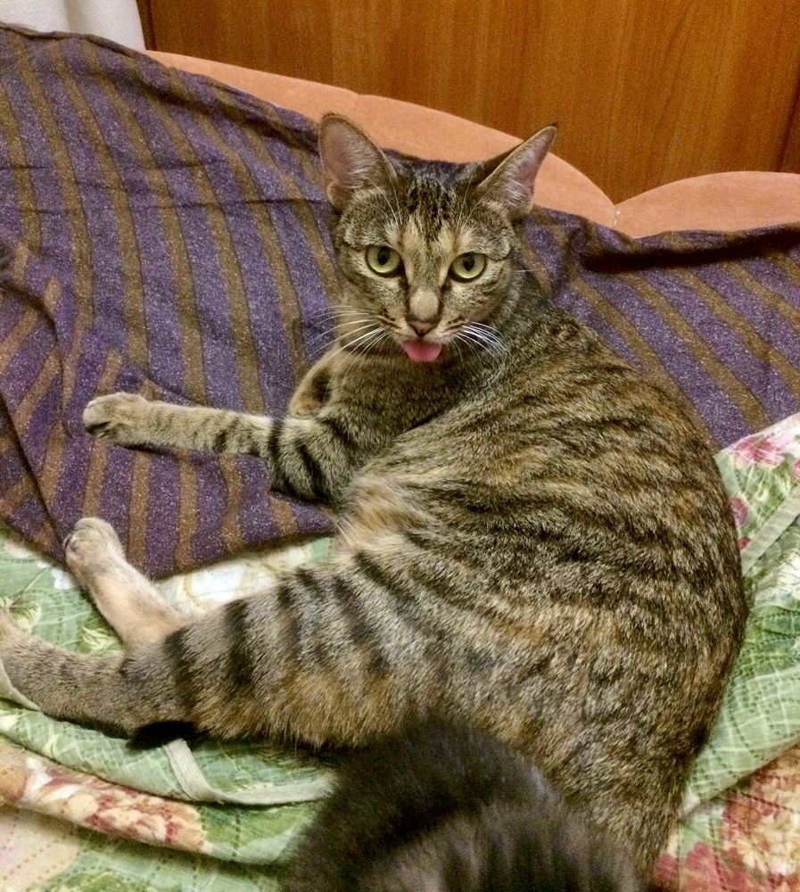 Photograph by Александр Захаров