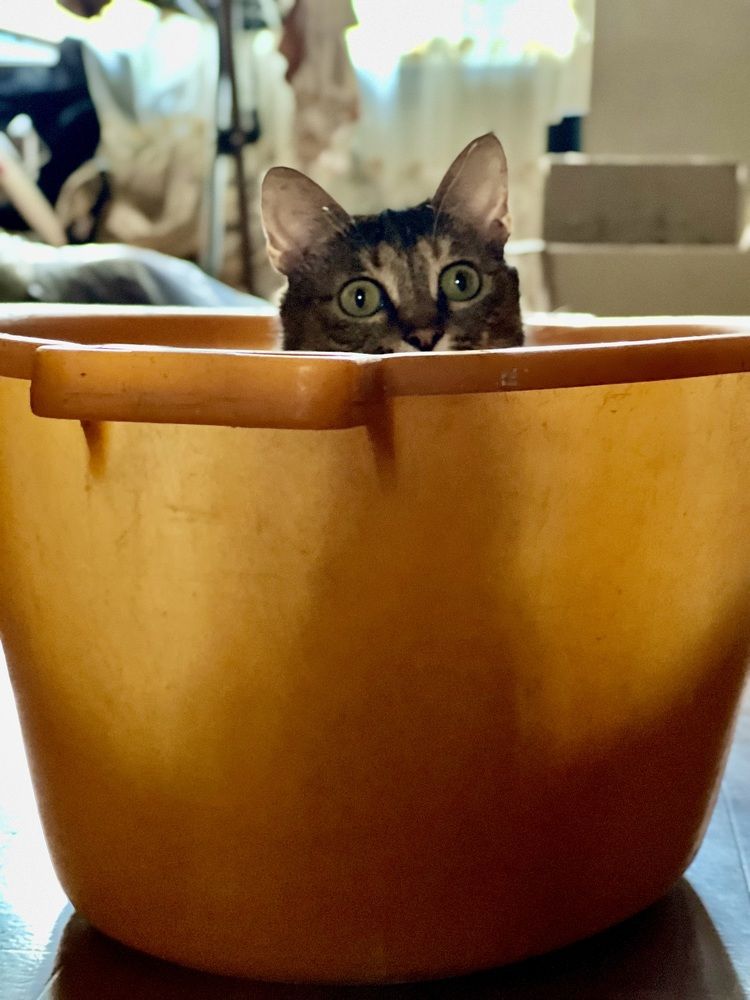 Photograph by Александр Захаров