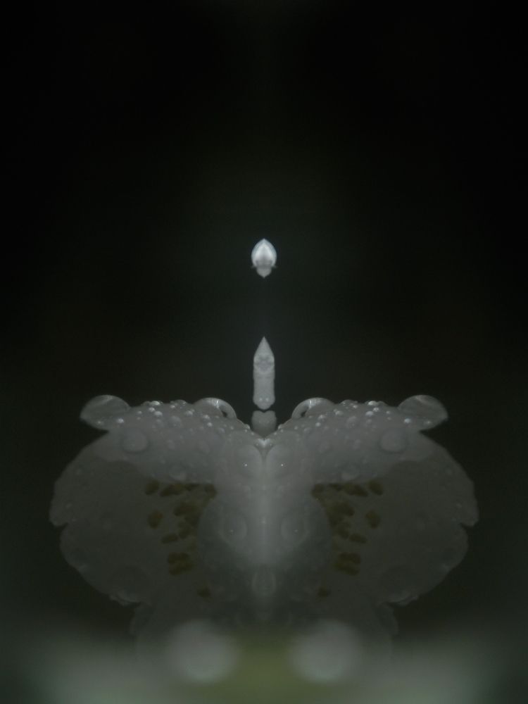 Photograph by Георгий Салюков