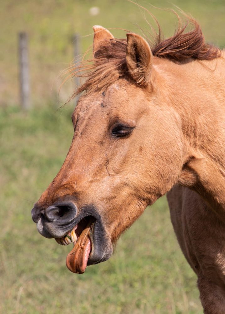 Photograph by Jorge Bagnuoli