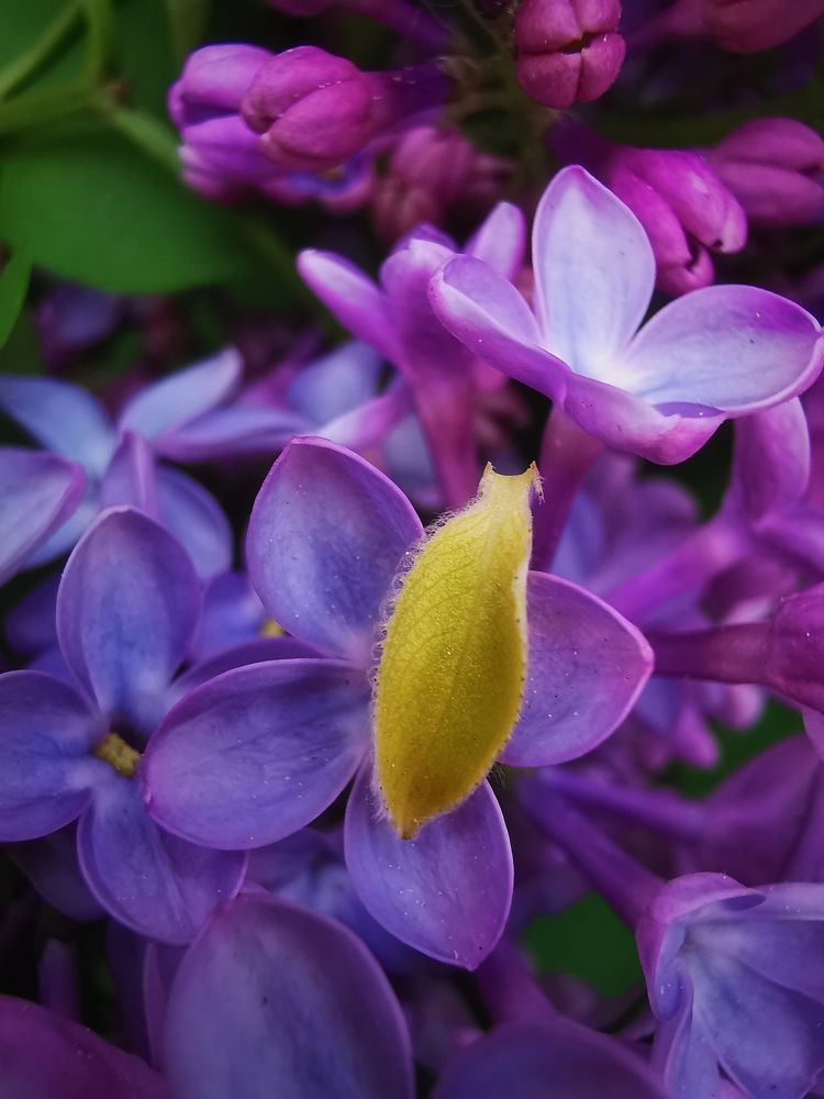 Photograph by Колоскова Мария