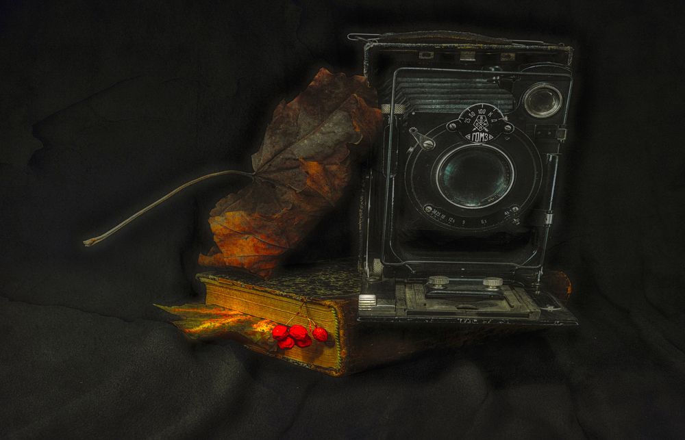 Photograph by Владимир Vladimir