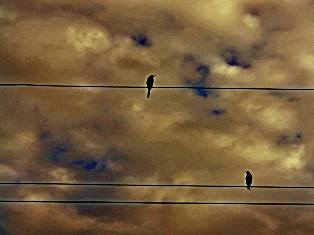 Photograph by Игорь Шевердин