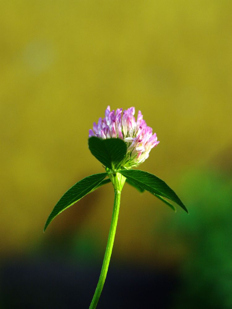 Photograph by Игорь Шевердин