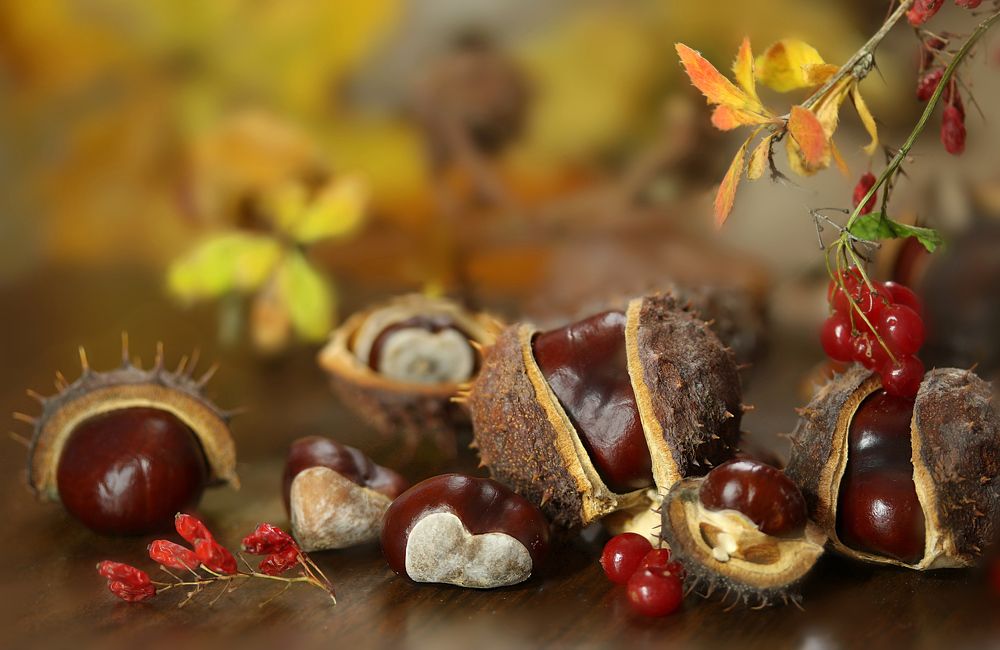 Photograph by Шруб (Беляева) Татьяна