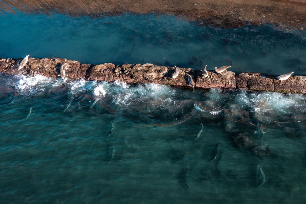 Photograph by Вероника Ливанова