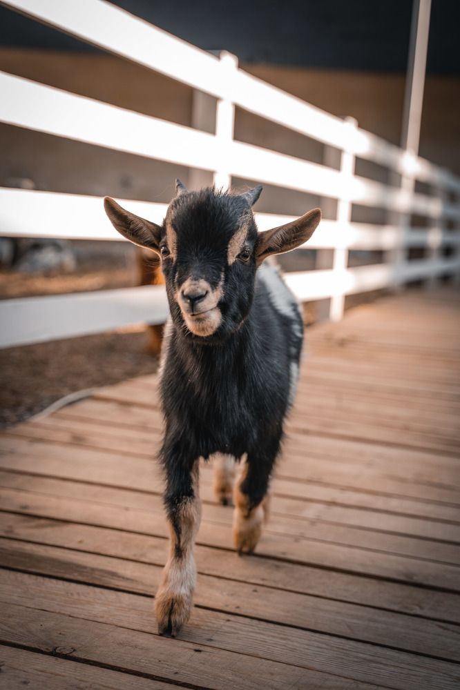 Photograph by Дмитрий Бутенко