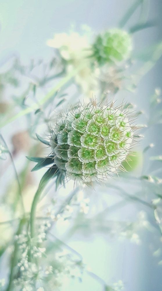 Photograph by Инга Сабанова