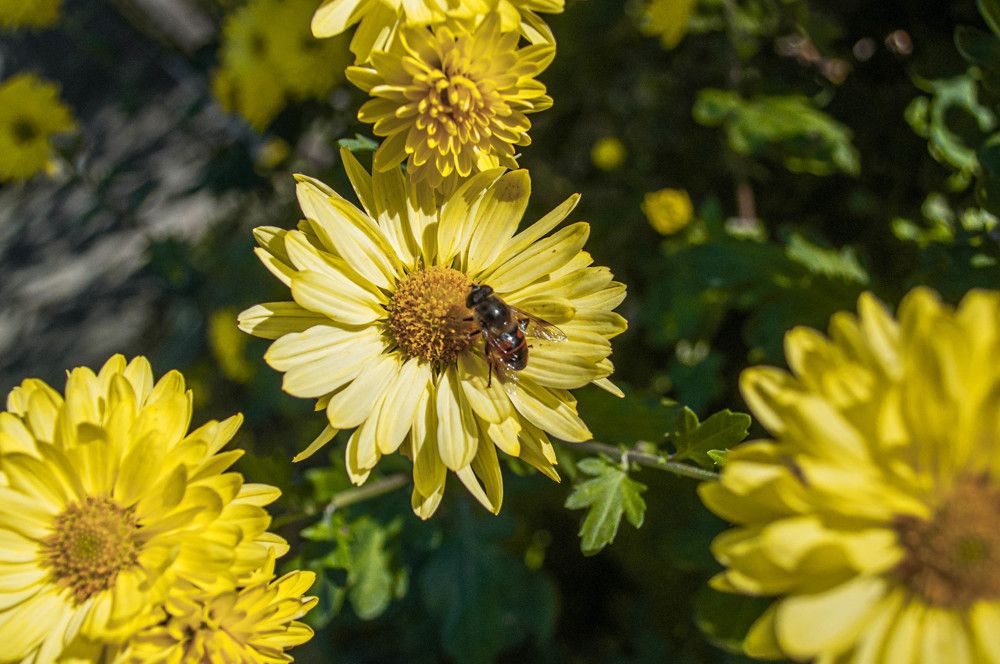 Photograph by Алекскандр Фатеев