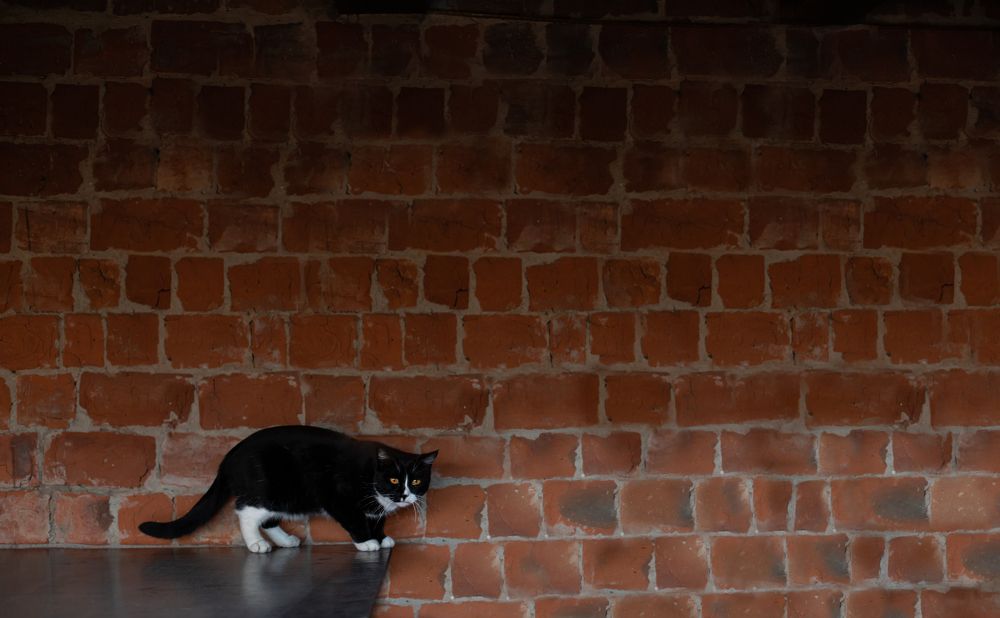 Photograph by Marina Dukhina