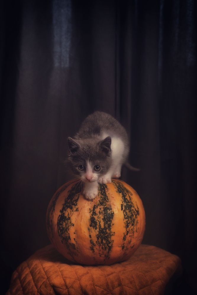 Photograph by Анжела Спиридонова