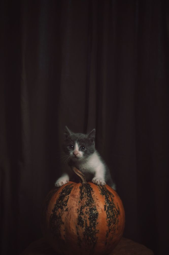 Photograph by Анжела Спиридонова