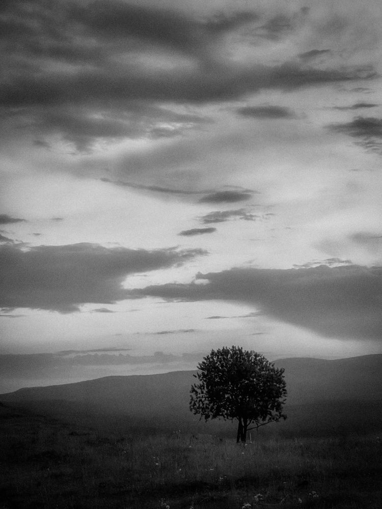 Фотография автора Дарья Кузнецова