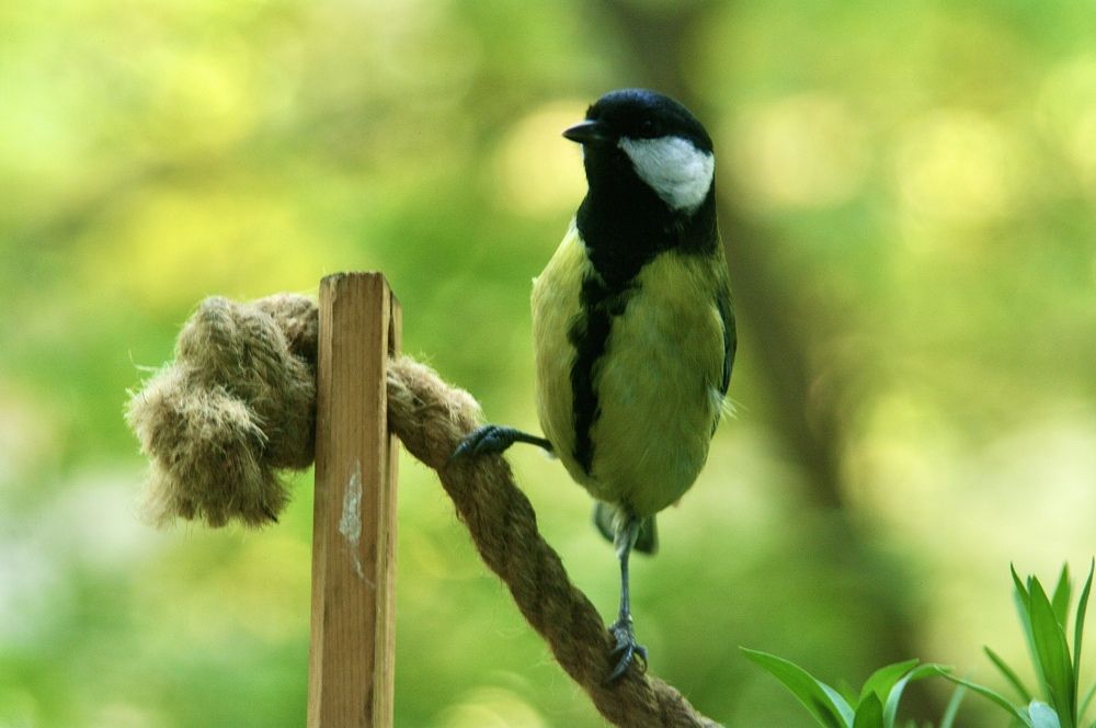 Photograph by Ирина