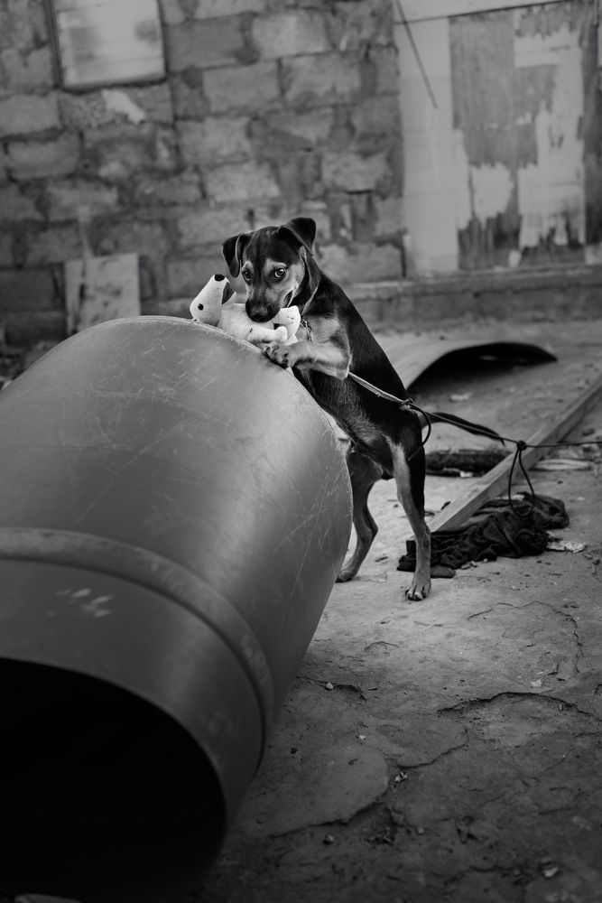 Photograph by Akeem Chandler-Prescod