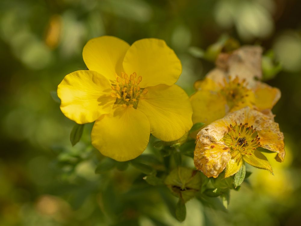 Photograph by Рина Серёгина