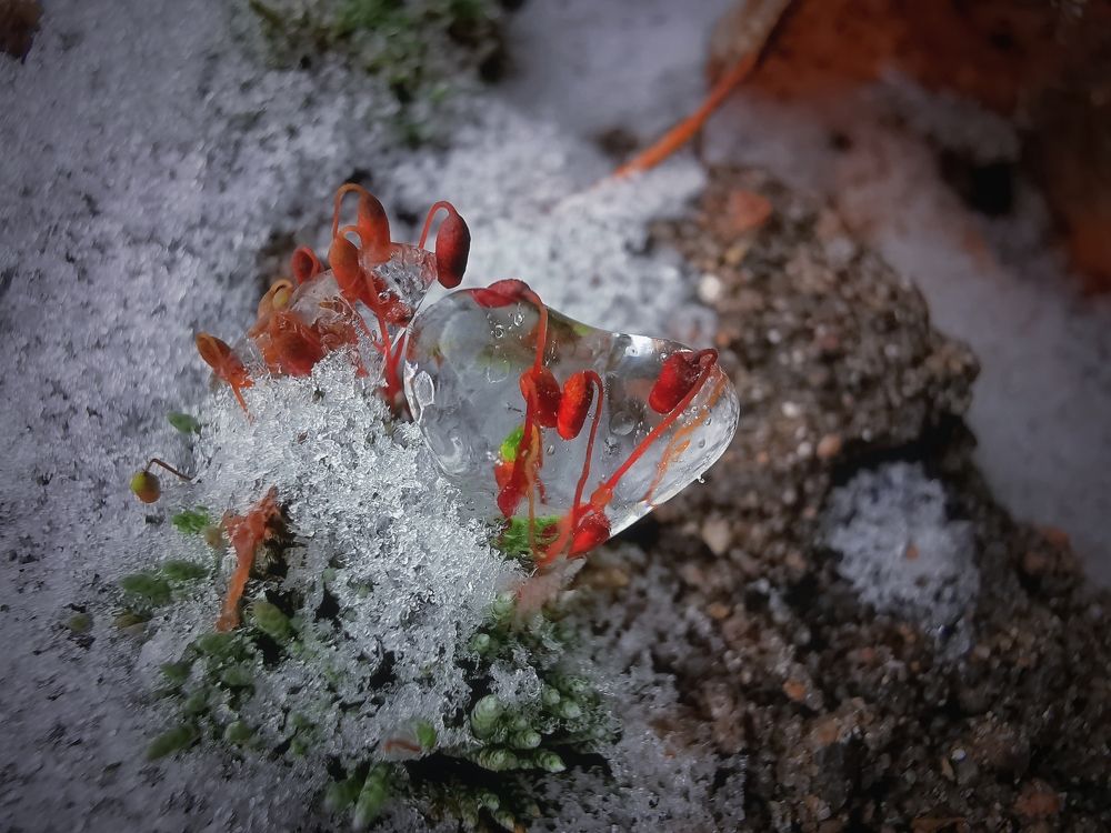 Photograph by Колоскова Мария