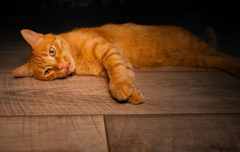 Photograph by Марьям Цимбельман