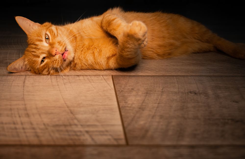 Photograph by Марьям Цимбельман