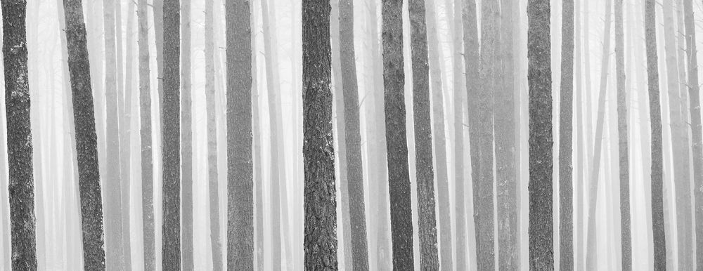 Photograph by Lukasz Maliszewski