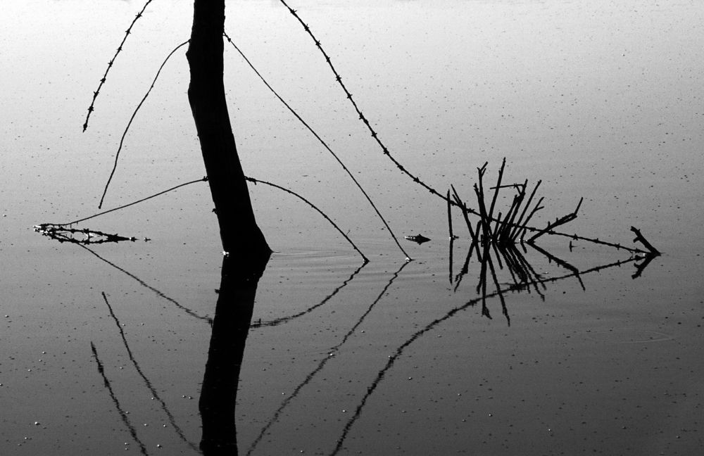 Photograph by gustavo gatto