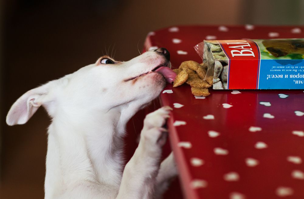 Photograph by Рита