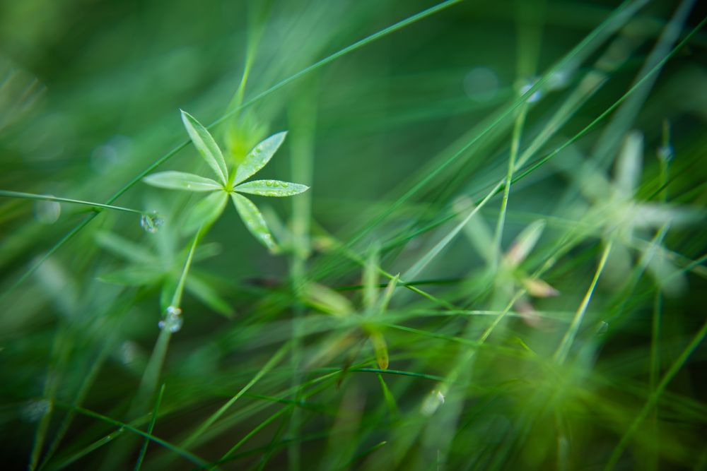 Фотография автора Войнов Дмитрий
