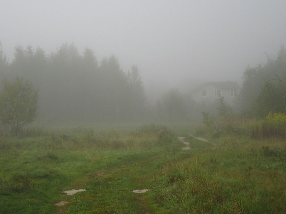 Утро.Туман.